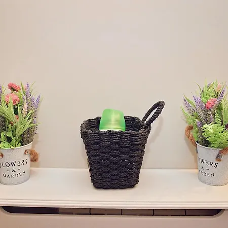 Alexis Neversea Apartment *