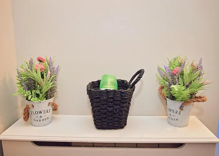 Alexis Neversea Daire *